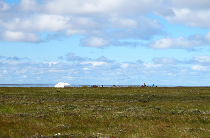 (University of Aberdeen)