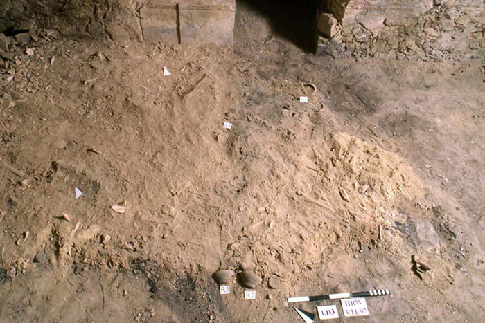 (G. Lovera, Associazione Culturale per lo Studio dell’Egitto e del Sudan ONLUS)