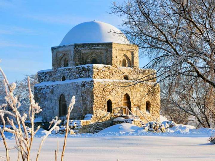 (Fondation Vozrojdenie)