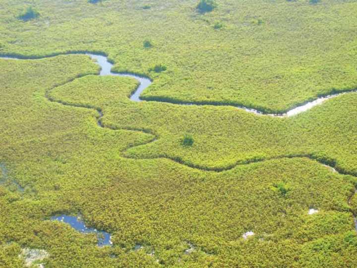 (Gertrude M. Matswiri, Channel - Okavango Delta)