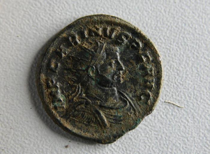 Nummus Radiatus con l'effige imperatore Carino (sec. III)   (ANSA/Soprintendenza archeologica di Roma)