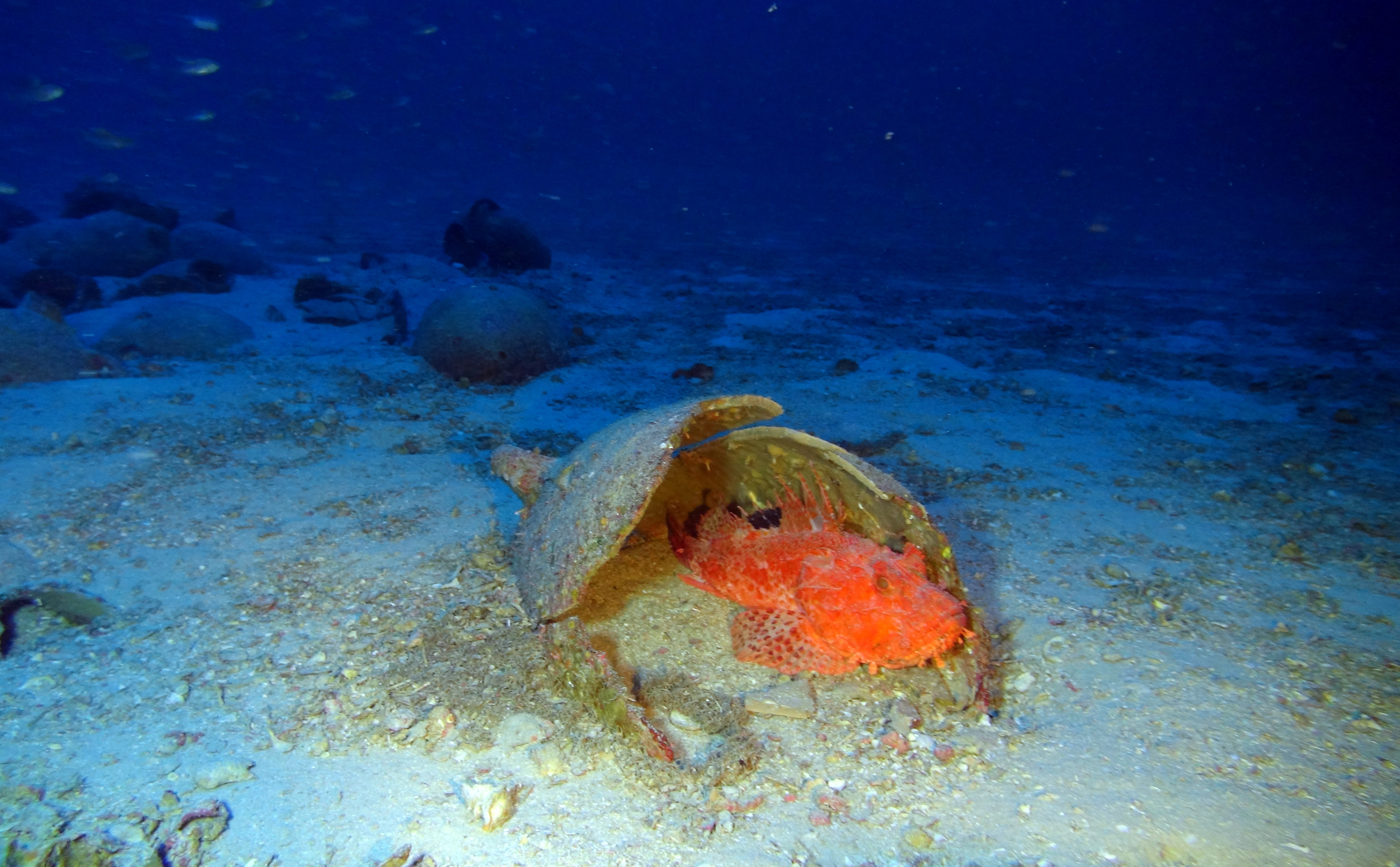 (The Malta Independent)