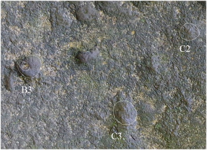 (Vodolazhsky D.I., 2014)