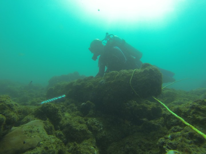 Un sommozzatore misura un cannone nella baia di Rockley (University of Connecticut)