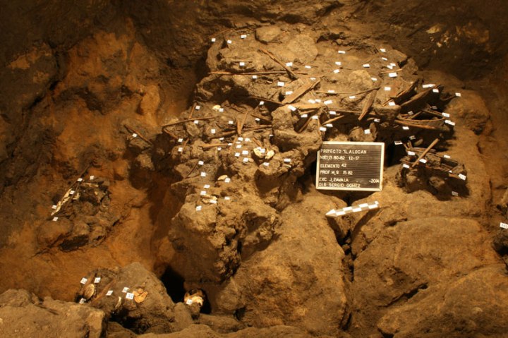 Frammenti di legno (INAH)