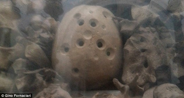 Il teschio bucato (Gino Fornaciari)