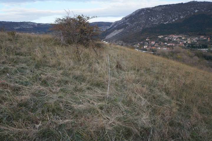 Colle San Rocco (Icpt e Un. di Trieste)