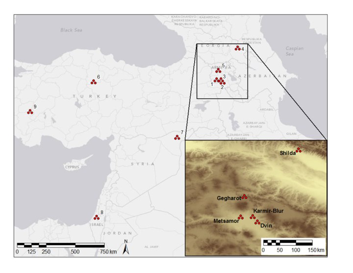 (Professor Adam Smith)