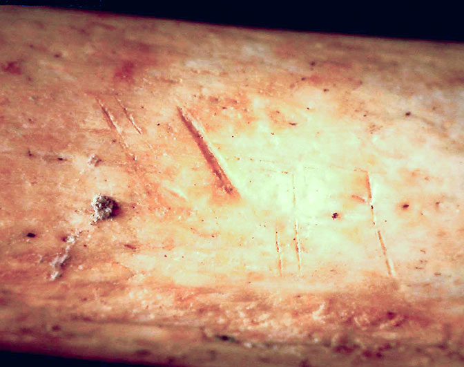 (University of Cambridge)