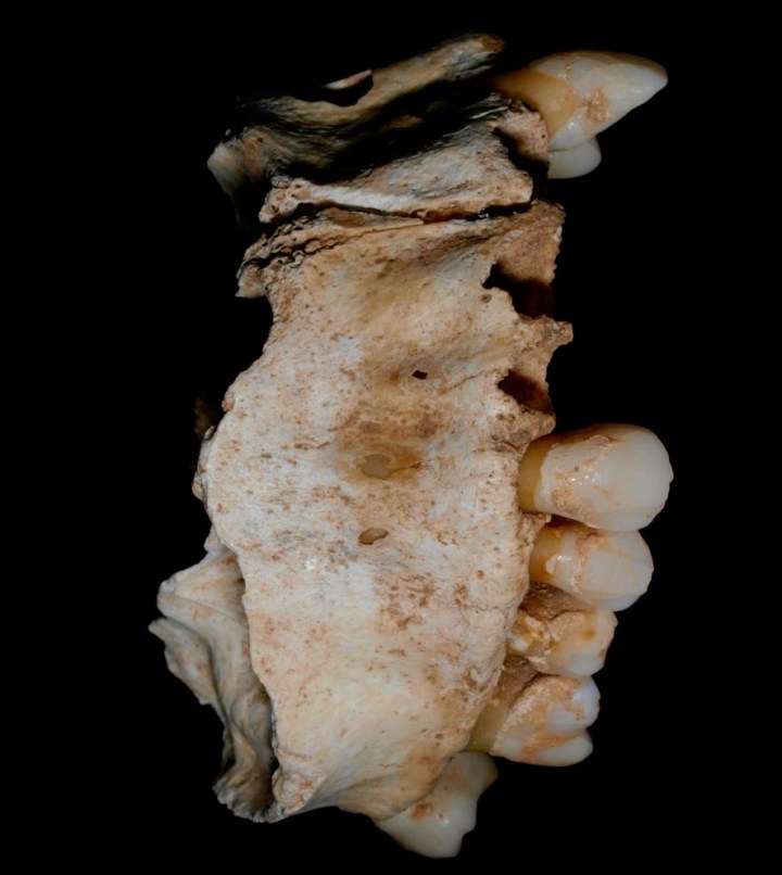 Mascella di donna nella Tomba I (Javier Trueba)