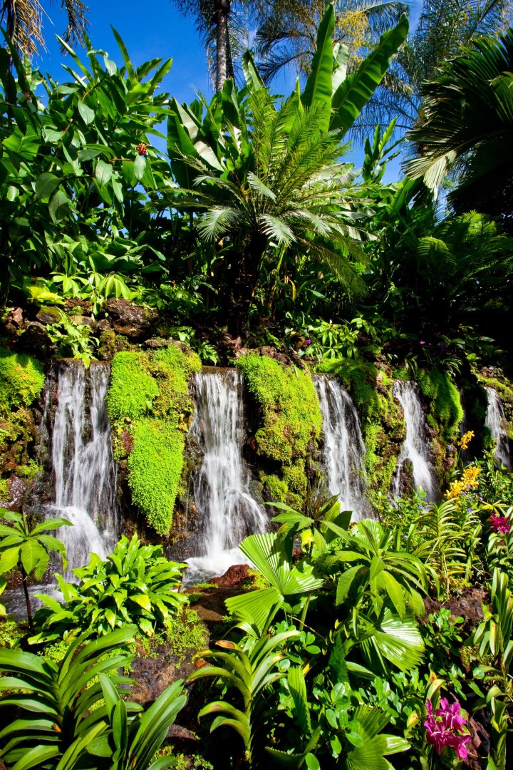 (National Parks Board)