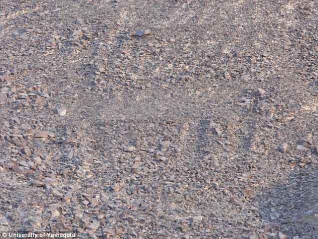 Come si presentano sul terreno i geoglifi (University of Yamagata)
