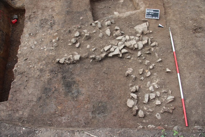 (Frankfurt University)