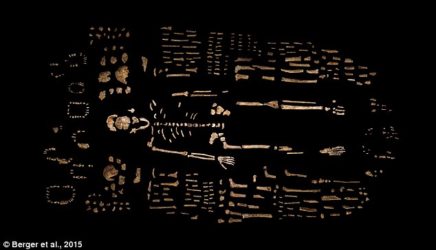 (Berger et al., 2015)