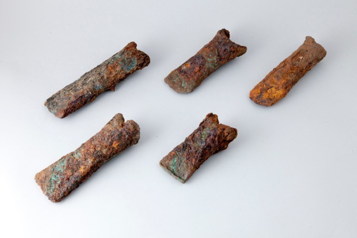 Asce (Corina Borș, photo by Marius Amarie)