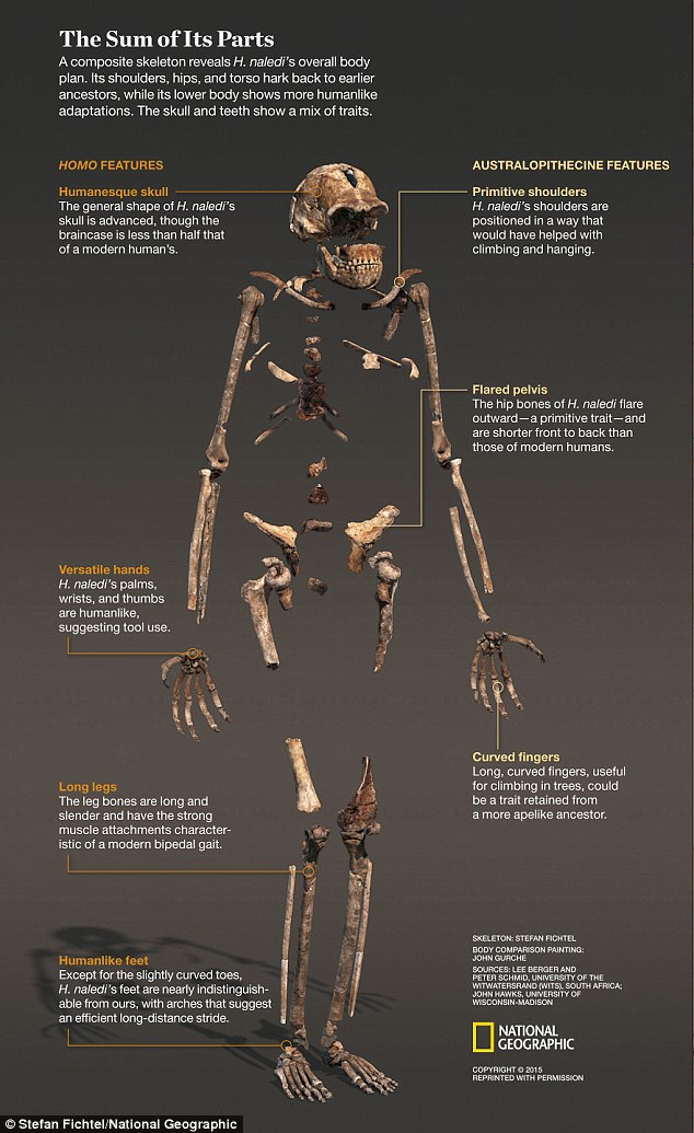 (National Geographic)