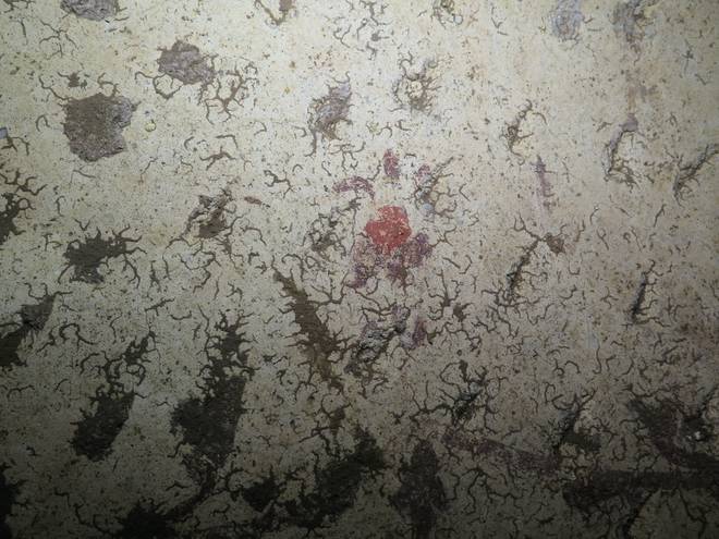 (Sotterranei di Roma)