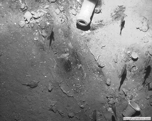 Uno dei cannoni (Colombian Ministry of Culture and the Colombian Institute of Anthropology and History)