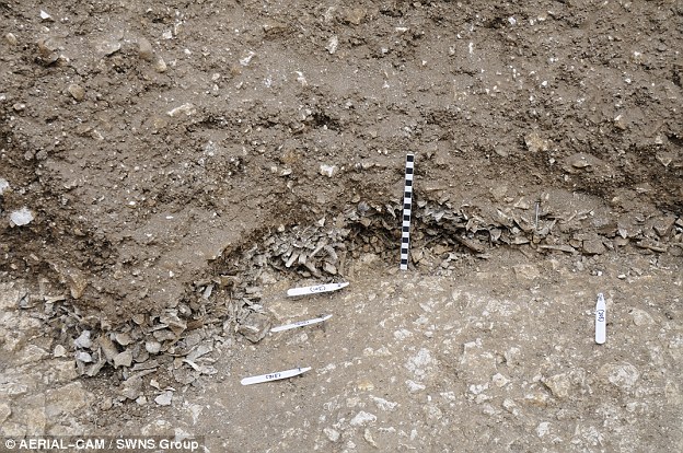 (Aerial-Cam, SWNS Group)