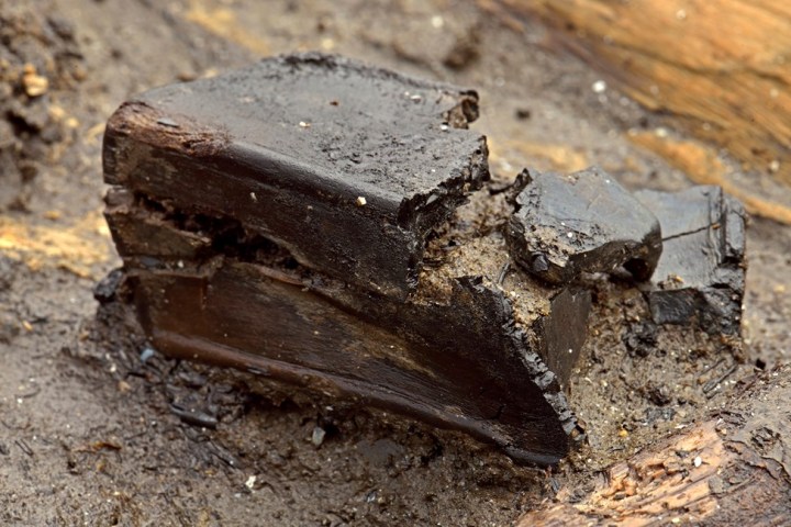 Un contenitore in legno (Cambridge Archaeological Unit)