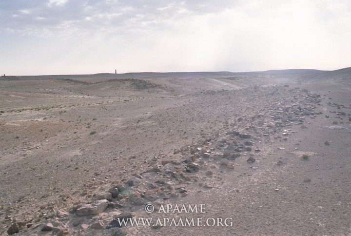 (APAAMEG_20040527_RHB-0012 © Robert Bewley, Aerial Photographic Archive for Archaeology in the Middle East)