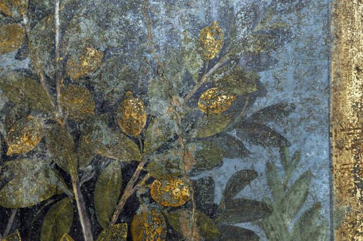 Casa del Frutteto (particolare) (Corriere)