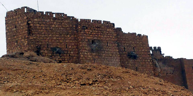 Danni al castello di Palmira (SANA)