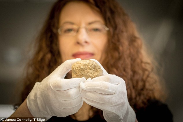 Marion Dowd (IT Sligo)