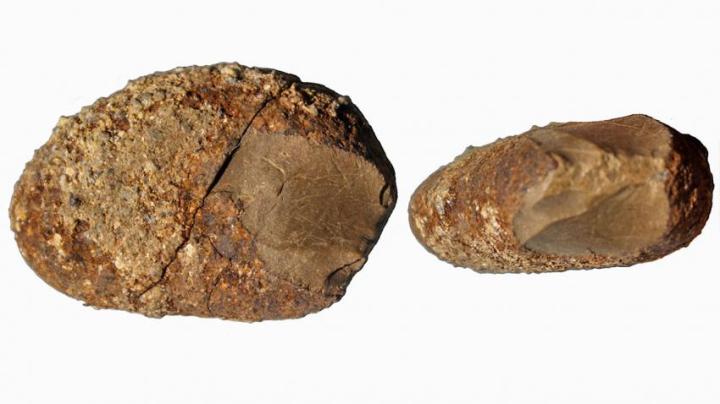 Questa roccia serpentina trovata in Cile, grande quanto una prugna, porta graffi fatti dall'uomo. Risalirebbe tra i 17.000 e i 19.000 anni fa (Tom Dillehay)