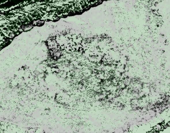 Un'immagine satellitare di Point Rosee. Le linee scure nere potrebbero indicare degli edifici (Digitalglobe)
