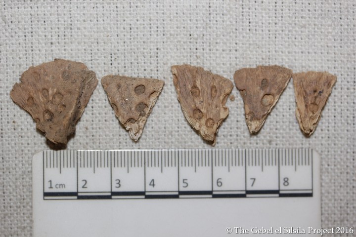 Squame di coccodrillo (The Gebel el Silsila Survey Project)