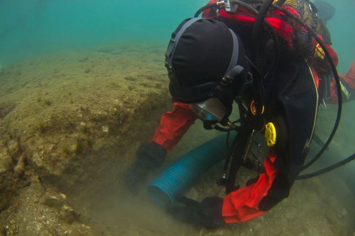     (Zea Harbour Project / Carlsberg Foundation / University of Copenhagen)