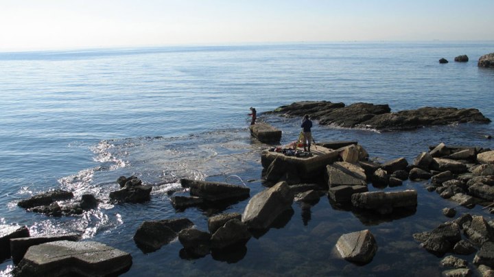 (Zea Harbour Project / Carlsberg Foundation / University of Copenhagen)