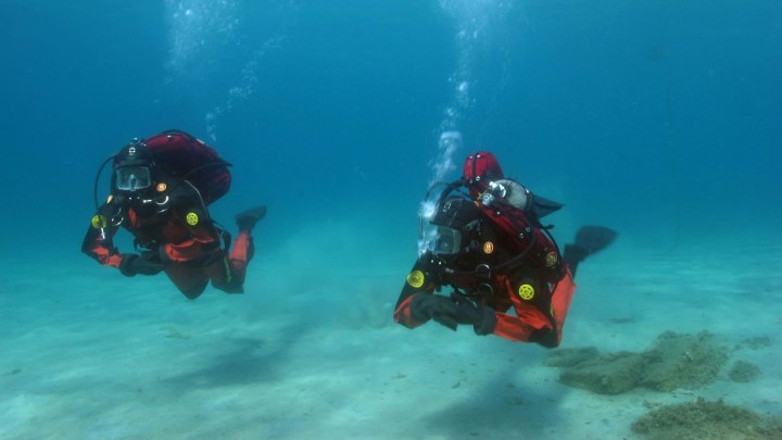 (Zea Harbour Project / Carlsberg Foundation / University of Copenhagen)