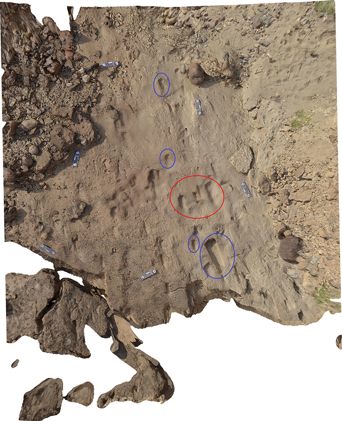 (Sapienza, Università di Roma)