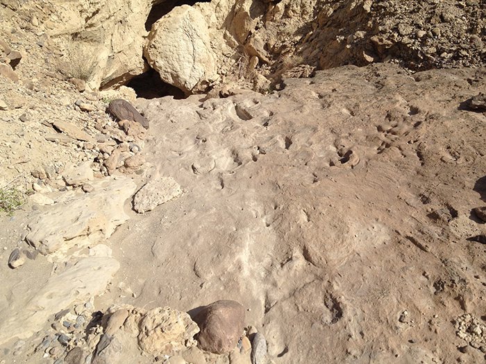 (Sapienza, Università di Roma)