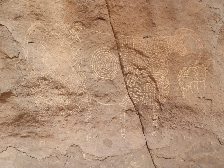 Prints from the bovidienne period on the north of the massif (Comité Technique/ Sven Oehm)