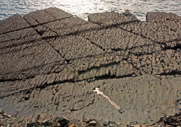 Bedding plane cut by conjugate joint sets, multiple other fractures, and a pervasive spaced cleavage (Mistaken Point Ambassadors Inc)