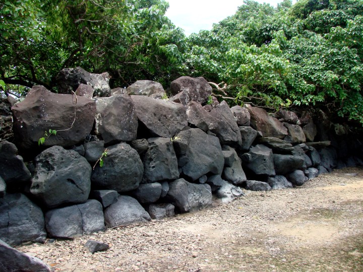 Nan Madol: Ceremonial Center of the Eastern Micronesia: Seawall of the islet of Lukopen Karian (Osamu Kataoka)