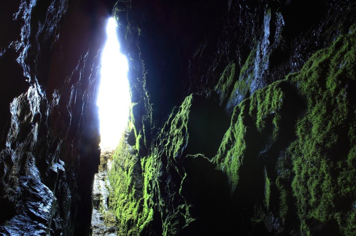 Hubei Shennongjia. Cave for swiftlets (Institute of Botany, The Chinese Academy of Science)