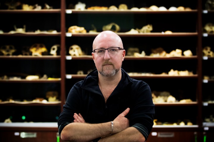 Dr Patrick Randolph-Quinney, Senior Lecturer in Biological and Forensic Anthropology, University of Central Lancashire (WITS UNIVERSITY/LAUREN MULLIGAN)