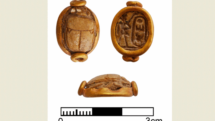 Scarabei di steatite su oro col cartiglio di Thutmose III (Peter M. Fischer)