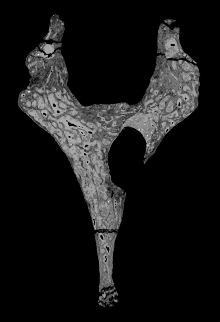 UW88-37 (University of Witwatersrand)