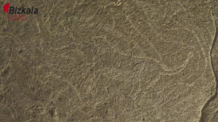 1476459347_993487_1476459865_album_normal