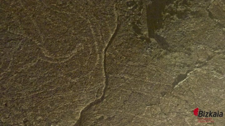 1476459347_993487_1476459866_album_normal