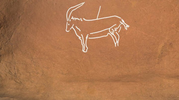 1476459347_993487_1476459867_album_normal