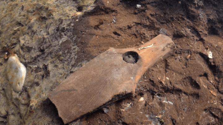 (Università di Lund)