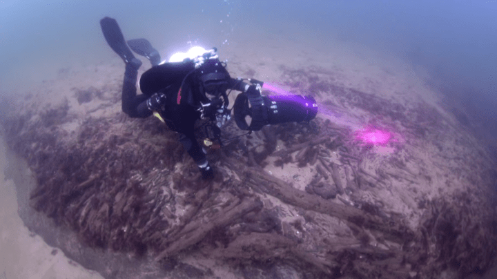 (Università di Lund)