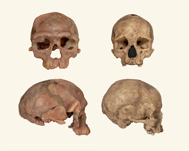 Jebel Irhoud marocco homo sapiens