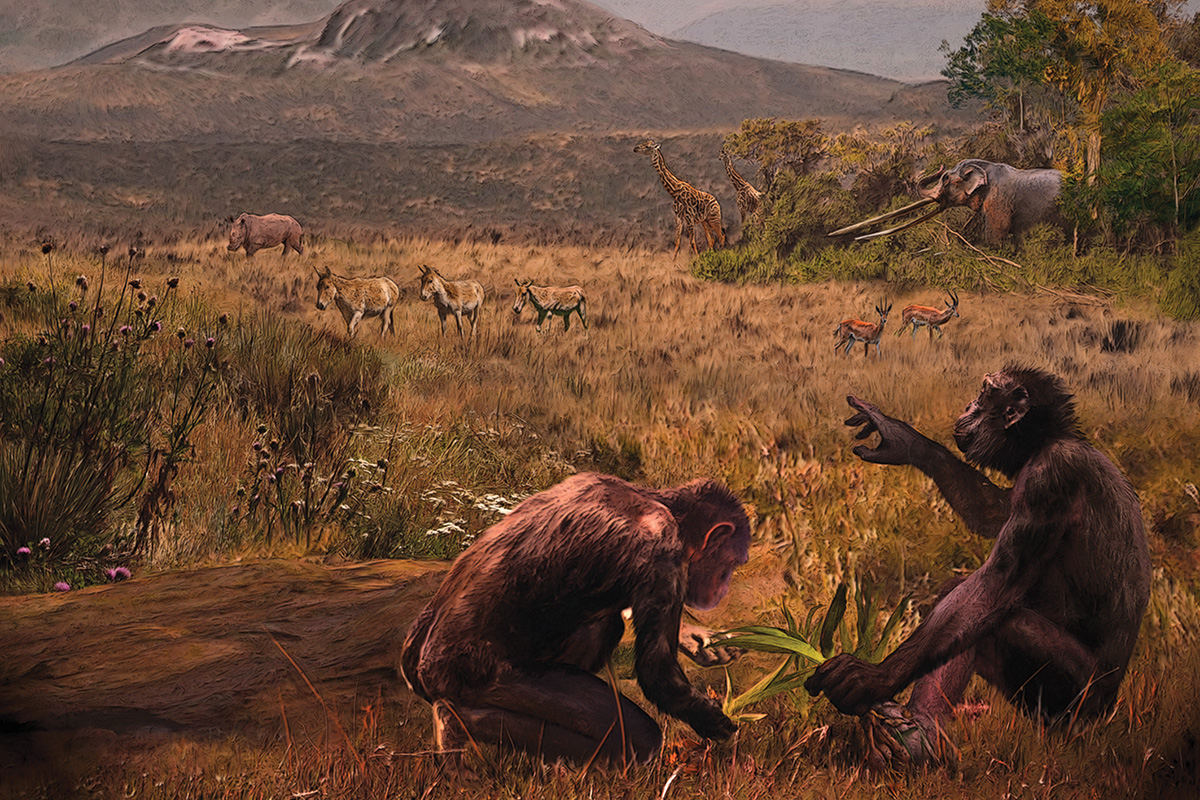 Graecopithecus Simeonovski